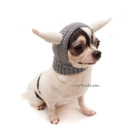 dog viking hat