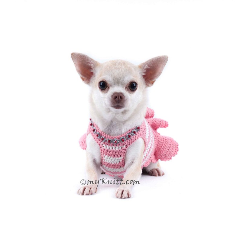 Pink Dog Dress Peach Dog Clothes Girl Chihuahua Clothes Etsy