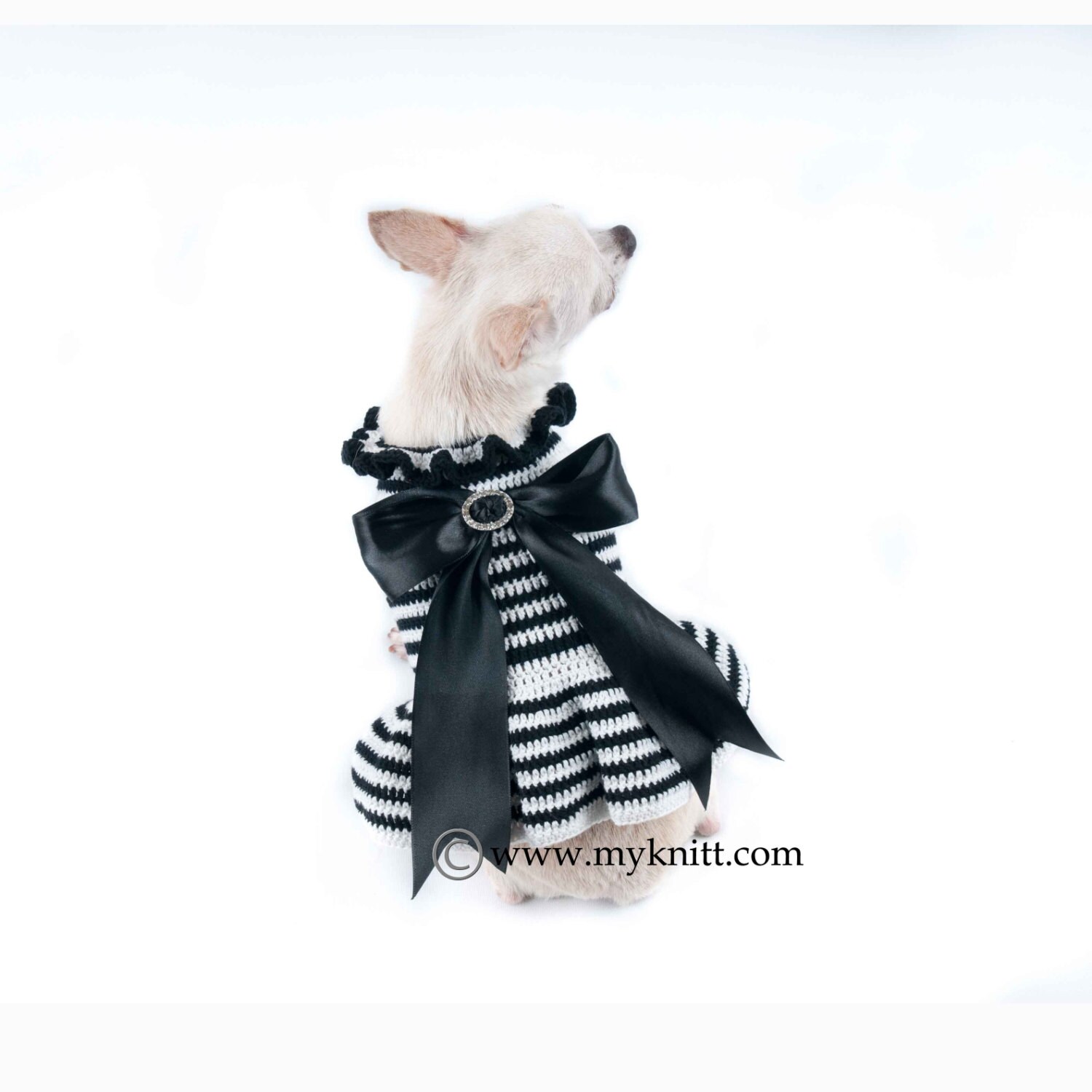 Black and White Dog Dress With Big Ribbon Chihuahua Clothes 