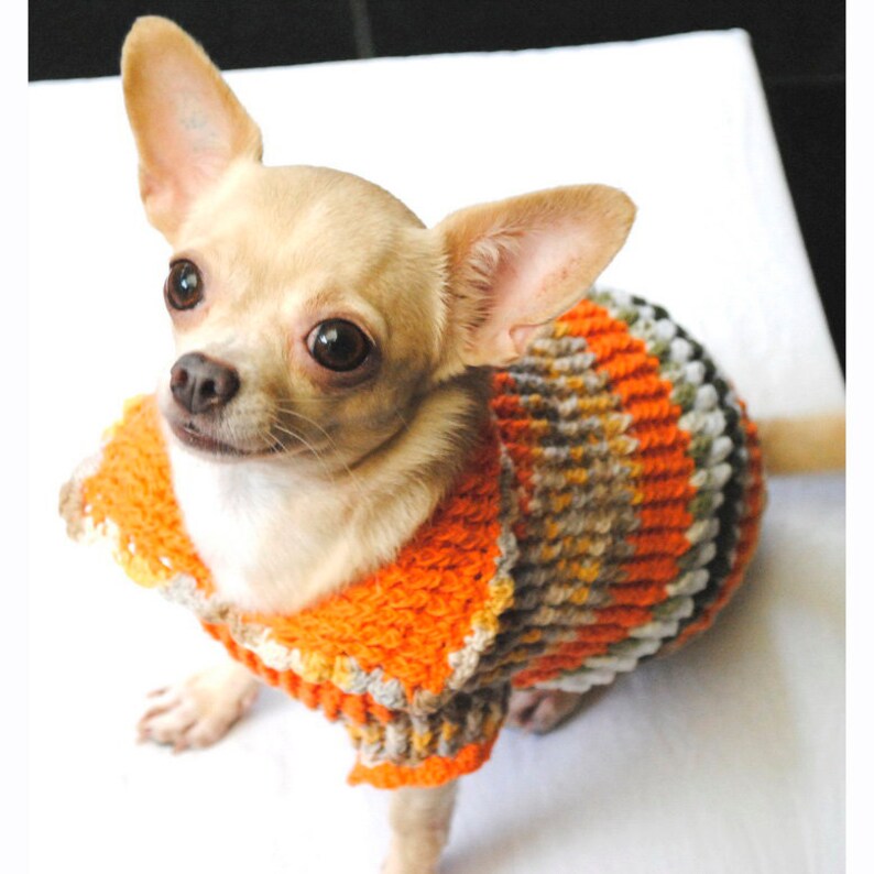 Dog Clothing XXS Cute Chihuahua Sweater Knit Warm Sweater Etsy