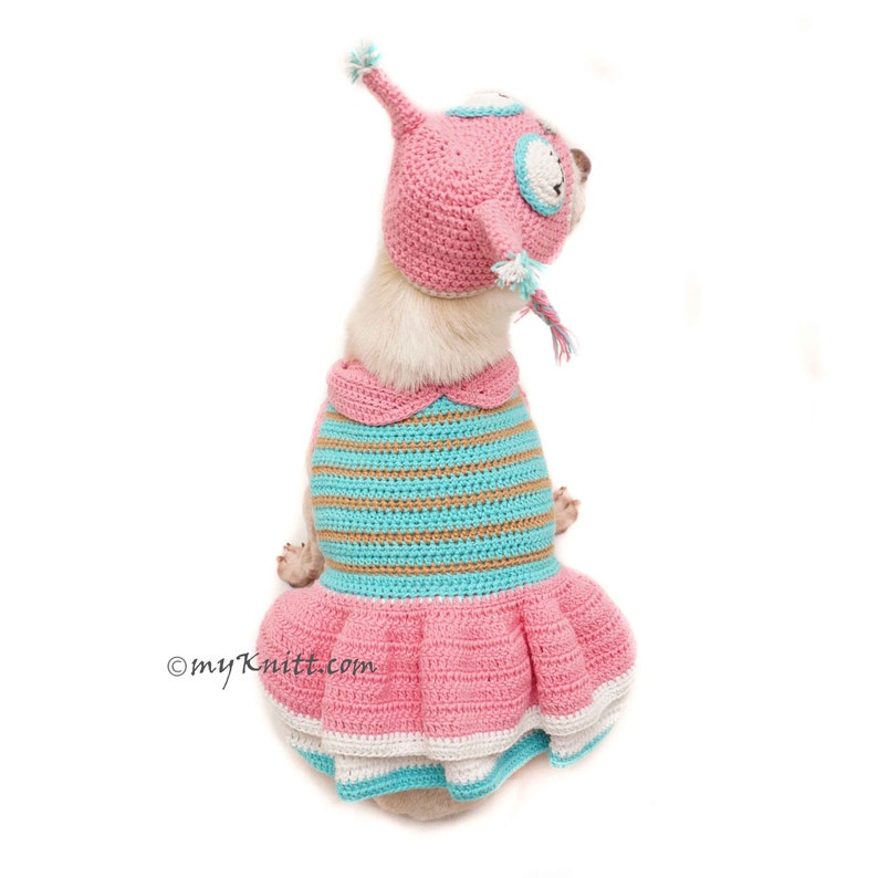 Owl Dog Costume Owl Dog Hat Pink Turquoise Owl Dog Clothes Etsy