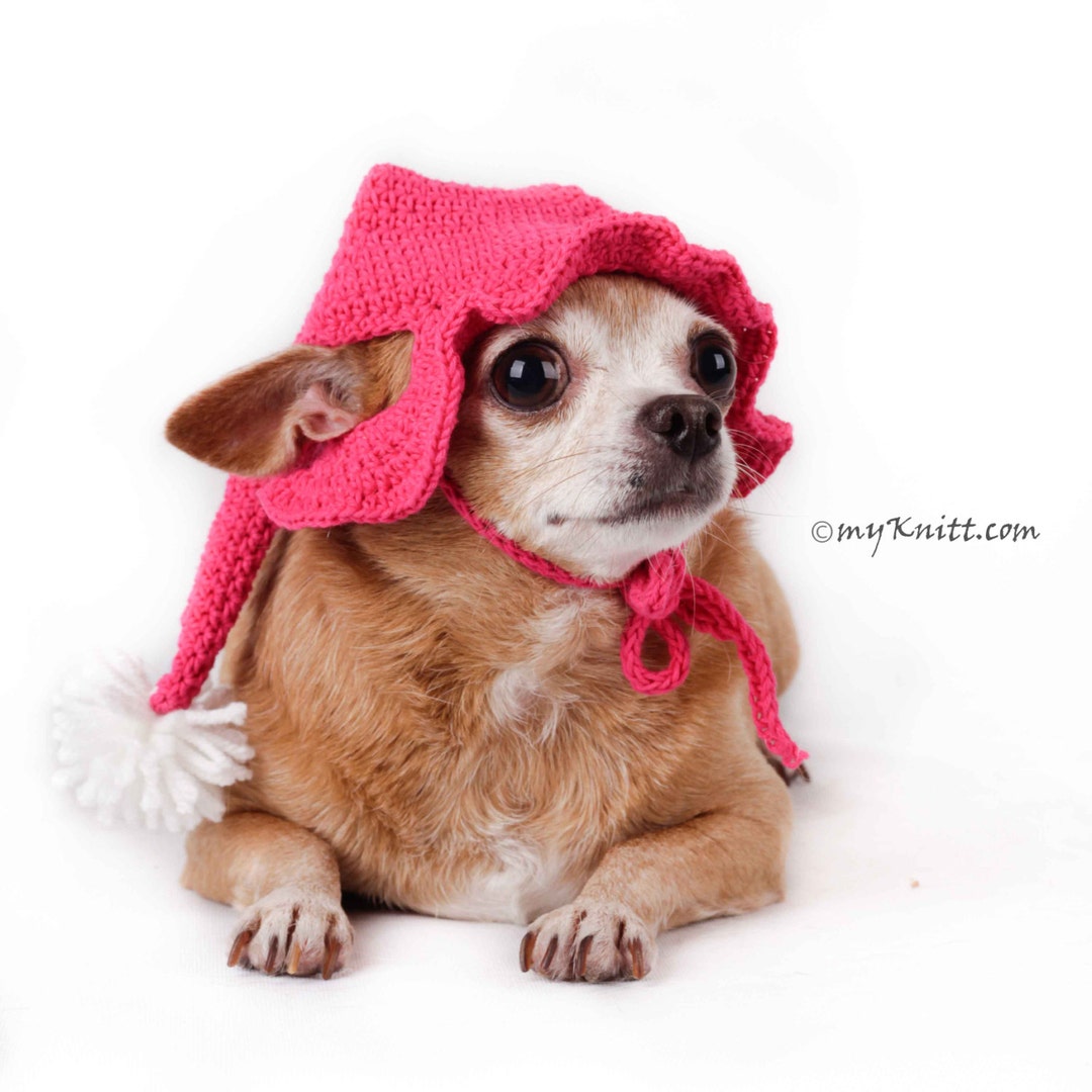 Crochet Dog Hat Pom Pom Dog Hat Crochet Witch Hat Chihuahua Etsy
