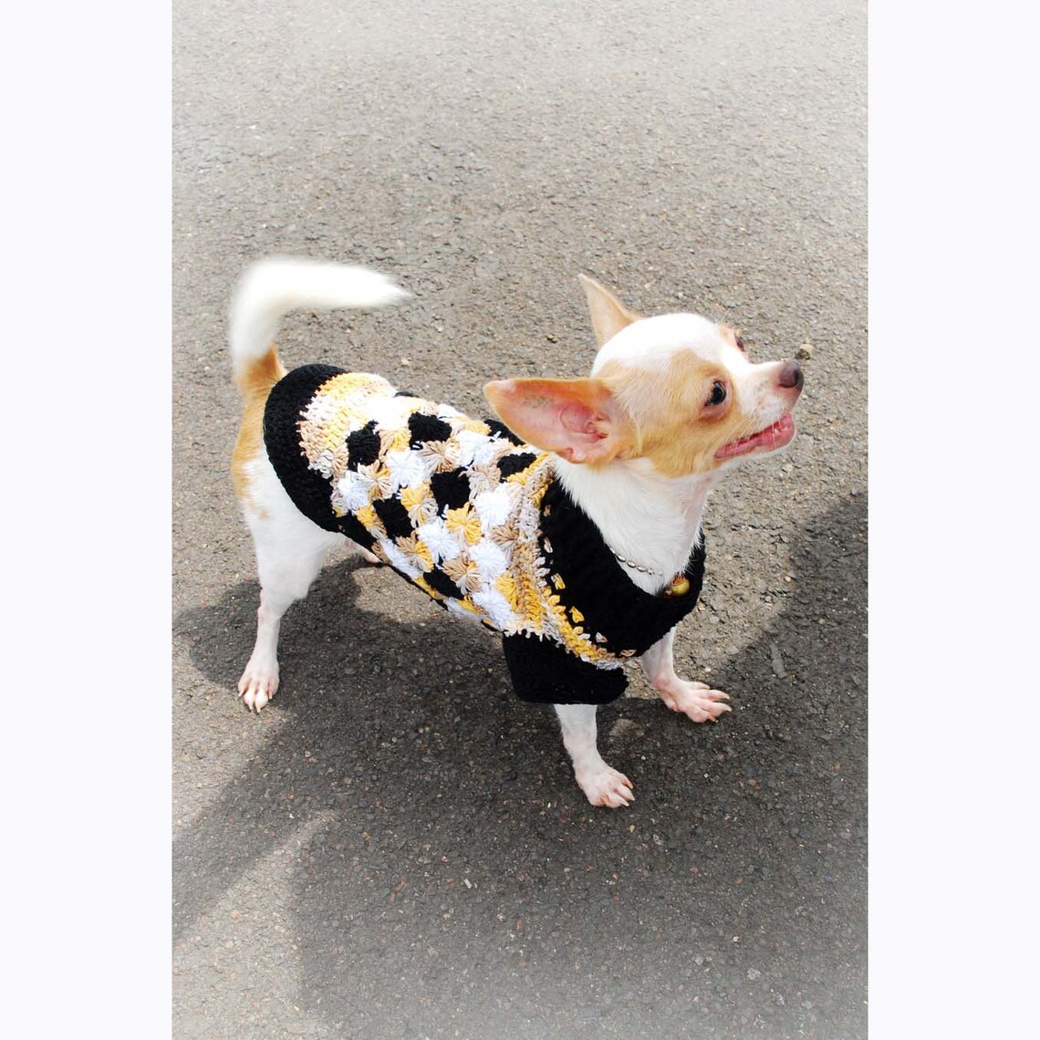 Argyle Dog Clothes Cute Cotton Chihuahua Clothes Handmade Etsy