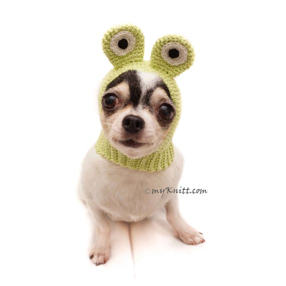 Dog Hat Crochet Frog Funny Pet Hats Dog Hat Chihuahua Cat Hat Frog Dog Hat for Winter Crochet Amigurumi DB5 by Myknitt Free Shipping Etsy Israel