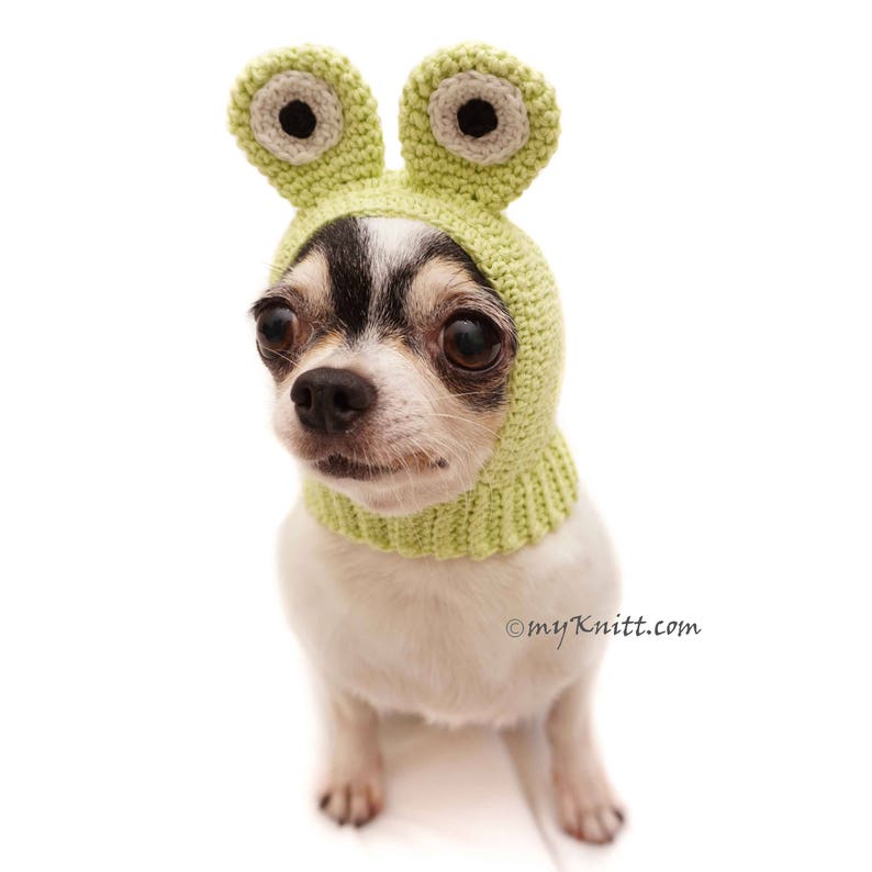 Dog Hat Crochet Frog Funny Pet Hats Dog hat Chihuahua Cat Etsy