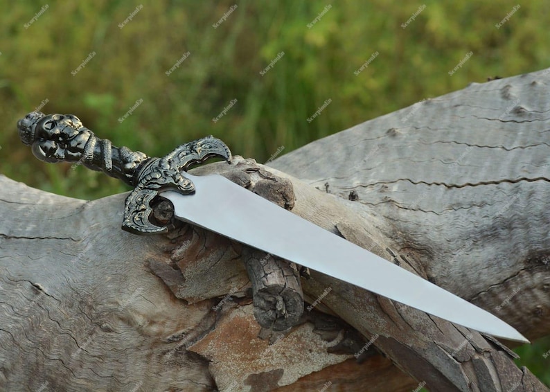 May include: A decorative dagger with a silver blade and an ornate handle. The handle features a detailed design with a skull and other decorative elements. The dagger is resting on a weathered wooden log.