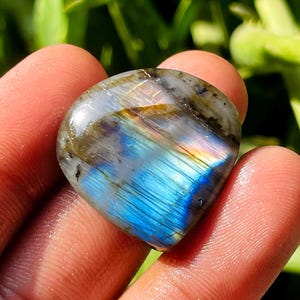Peut inclure: Une pierre précieuse de labradorite en forme de cœur avec des reflets bleus, dorés et gris irisés. La pierre polie reflète la lumière, révélant un jeu de couleurs. La pierre est tenue entre les doigts, avec un arrière-plan vert flou.