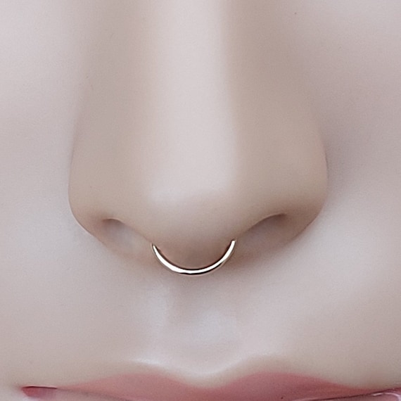 tandarts Geef energie rek Septum Ring Nose Ring Septum Piercing Septum Jewelry - Etsy België