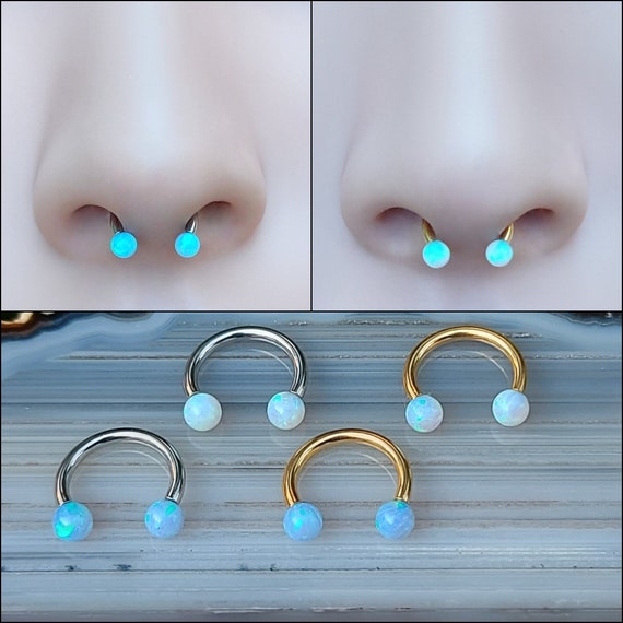 double spike horseshoe nose ring | Double nose piercing, Nose piercing, Nose  hoop