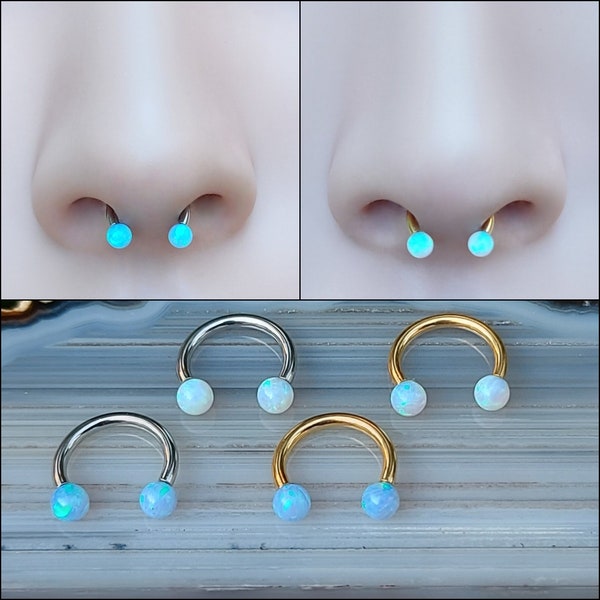 Piercing pour le septum Anneau pour le septum Piercing pour le septum dans le nez Piercing pour le septum dans le nez Petit piercing au septum Bijoux fer à cheval pour le septum