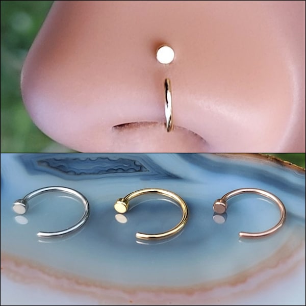 Nose Ring - Nose Ring Hoop - Tragus Hoop - Tragus - Helix - 2mm Disk - 20 Gauge 316L Surgical Steel - Silver - Yellow - Rose or Titanium 8mm