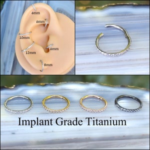 Implant Grade Titanium Earring, Tragus, Helix, Conch, Clicker Hoop Hypoallergenic Minimalist Sparkle Gem Clear CZ