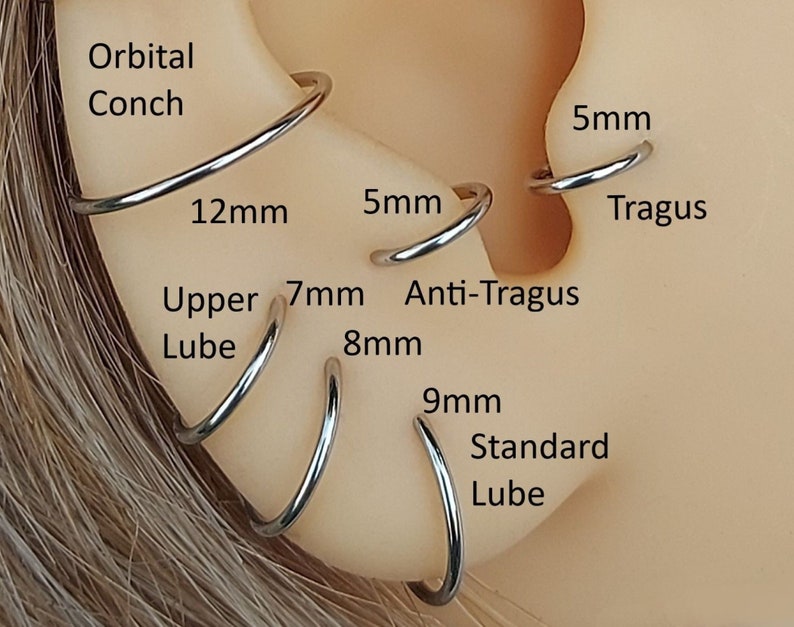 May include: Close-up of an ear with multiple hoop earrings in different sizes. The earrings are labeled with their corresponding sizes in millimeters: 5mm, 12mm, 7mm, 8mm, 9mm. The ear piercings are labeled: Orbital Conch, Tragus, Anti-Tragus, Upper Lube, Standard Lube.