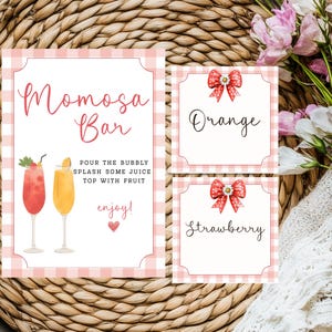Insegna da bar per baby shower con tema fragola e Mimosa, etichette per succhi, modello per baby shower con motivo a quadretti rossi, insegna da bar per bevande dolci ai frutti di bosco + etichette per caraffe