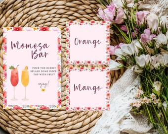 Pink Butterfly Baby Shower Mimosa Sign & Juice Labels, Wildflower Girl Baby Shower Template, Editable Drink Station Bar Sign + Carafe Labels