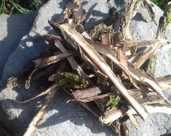 Elder Tree Bark, Spell Ingredient Magical, Incense, Witch Tree Bark