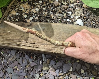 Hazel Wand hedge-grown in Wales!