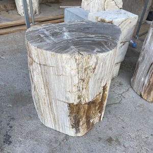 Solid Petrified Wood Stump Side Table | Natural Stone Accent Stool | Petrifiedwood And Coffe Table
