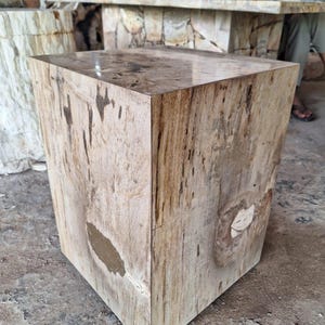 May include: A square wooden stool with a polished top. The sides of the stool are a light brown color with darker brown streaks and knots. The stool is made of petrified wood and has a natural, rustic appearance.