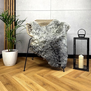 Natural Sheepskin rug Genuine Rare Gootland Rug - Curly rug Scandinavian Home Decor, sofa throw - Natural Decoration - gray color