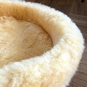 Pu&ograve; includere: Un letto rotondo per animali domestici con un interno in morbido color crema e un esterno soffice bianco sporco. Il letto ha un bordo rialzato e imbottito, offrendo uno spazio accogliente per un piccolo animale domestico.