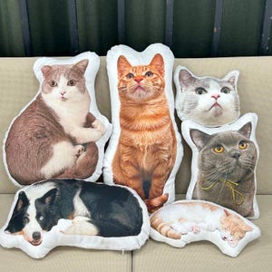 Custom pet shaped pillow from photos Personalized 3D cat dog portrait pillow Double-sided plush head/full body Back to school Pet lover Gift