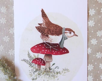 Wren Print, A6 Postkarte, Wren Zeichnung, Wren UK, Süßer Zaunkönig, Geschenk, Zaunkönig