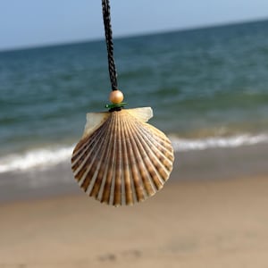 May include: A seashell pendant necklace. The pendant is a light brown scallop shell suspended from a braided black cord. A small, round, peach-coloured bead and a green bead are above the shell. The background shows the sea and a sandy beach.