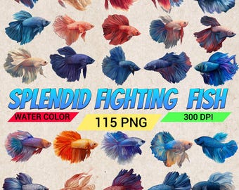 Fighting Fish Clipart Collection: 115 PNG Images, 300 DPI (Commercial Use, Instant Download)