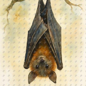 Watercolor Bat Wall Art Print | Spooky Wildlife Decor | Hanging Bat Painting | AI Generated Artwork