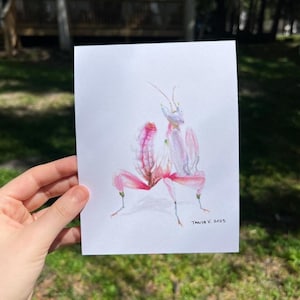 Orchid Praying Mantis Art Print