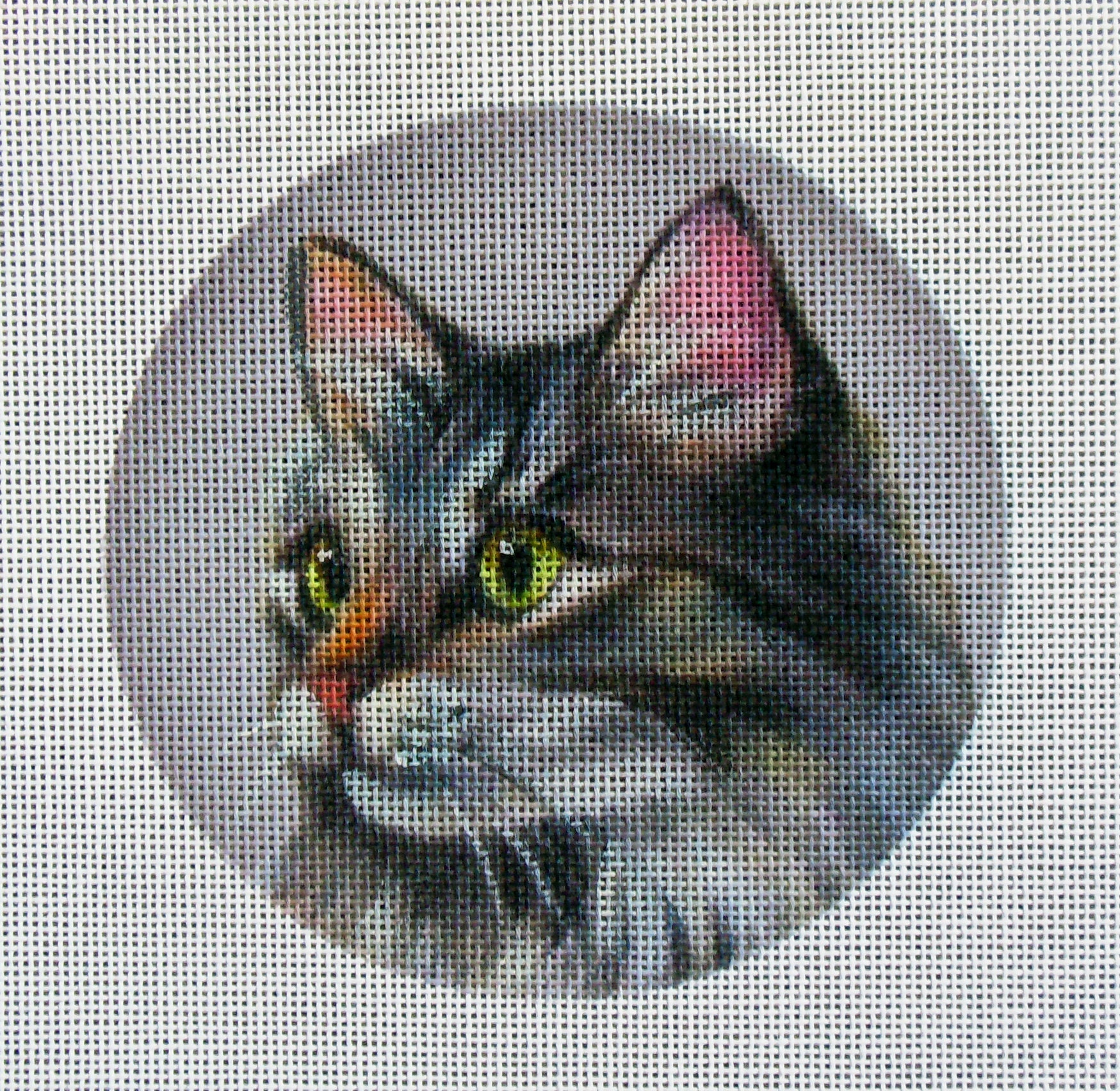 Maine Coon, Gray Cat Needlepoint Canvas Etsy