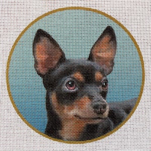 May include: A black and brown chihuahua with large ears, looking to the right, is pictured in a circular frame against a light blue background.