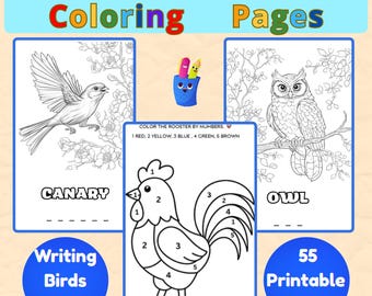 55 desenhos de pássaros para colorir | Atividades imprimíveis para crianças | Folhas de atividades educativas | Colorir por números e caça-palavras | PDF para educação infantil e ensino domiciliar