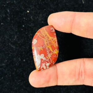 Noreena Jaspis 100% naturlig cabochon lös ädelsten (22x44x40,48x5,97 mm) (karatvikt - 44,05) (form - specifik) ZM-28