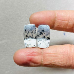 Puede incluir: Dos piedras preciosas rectangulares de ágata dendrítica. Cada piedra presenta una base blanca con un patrón de paisaje de inclusiones negras y grises, que se asemejan a árboles y nubes. Las piedras están pulidas y lisas.