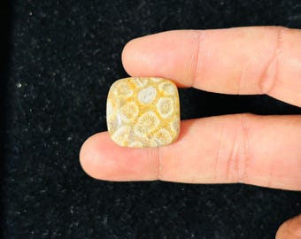 fossil coral 100% Natural Cabochon Loose Gemstone(20.74x21.53x5.26mm) (Carat-weight- 23.75) (Shape - Cushion) ZM-25