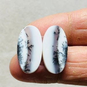 Puede incluir: Dos piedras preciosas ovaladas con una base blanca e intrincadas inclusiones dendríticas negras y grises. Las piedras se sostienen en una mano, mostrando sus superficies pulidas y patrones naturales. Las piedras preciosas probablemente se utilizan para joyería o fines decorativos.