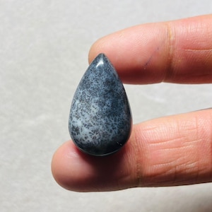 Puede incluir: Una gema pulida en forma de lágrima. La piedra presenta una base blanca y gris con un patrón moteado de puntos negros. La gema se sostiene entre dos dedos.