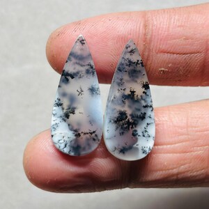Puede incluir: Dos piedras preciosas de ágata dendrítica en forma de lágrima. Las piedras tienen una base blanca translúcida con intrincadas inclusiones negras y grises en forma de helecho. Las piedras se sostienen entre los dedos, mostrando sus superficies pulidas.