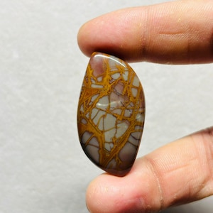 Noreena Jaspis 100% Naturlig Cabochon Lös Ädelsten (Form - Specifik) (Storlek - 21,12x39,84x6,16 mm) (Karatvikt - 42,10) ZM-207