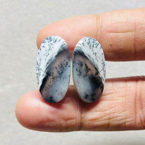 Puede incluir: Dos piedras preciosas ovaladas de ágata dendrítica. Las piedras son blancas con intrincados patrones negros y grises que se asemejan a árboles y paisajes. Las piedras preciosas están sujetas por un dedo.