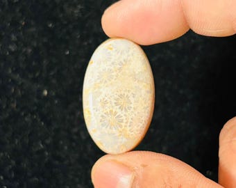 fossil coral 100% Natural Cabochon Loose Gemstone(18.76x30.86x5.94mm) (Carat-weight-28.35) (Shape - 0val)ZM-38