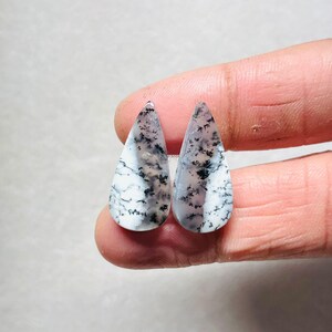 Puede incluir: Dos piedras preciosas en forma de lágrima, con base blanca y complejos patrones dendríticos negros y grises. Las piedras pulidas y lisas tienen un aspecto translúcido, evocando un paisaje natural. Ideal para la creación de joyas.