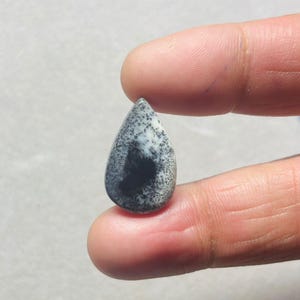 Puede incluir: Una gema en forma de lágrima con un patrón moteado de negro y blanco. La piedra se sostiene entre dos dedos, mostrando su superficie pulida y sus variaciones de color únicas. La forma de la gema es suave y redondeada, con un área central oscura.