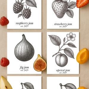 Op de afbeelding: Vier witte kaarten met gedetailleerde zwart-wit illustraties van fruit en bloemen. De kaarten bevatten de tekst: "raspberry jam est. 2025", "strawberry jam est. 2025", "fig jam est. 2025" en "apricot jam est. 2025".