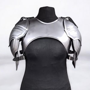 Handmade Steel Valkyrie Armor: Women&#39;s Fantasy LARP Cosplay