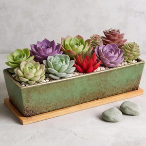 Può includere: Una fioriera rettangolare in ceramica verde piena di succulente colorate. Le succulente sono di varie tonalità di verde, viola e rosso. La fioriera poggia su un vassoio di legno e due pietre grigie sono davanti.