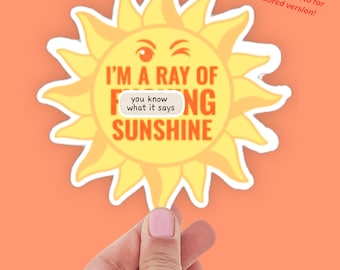 Funny Sunshine Sticker – Sarcastic Weatherproof Laptop Decal