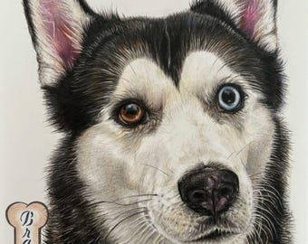 Custom Pet Portrait | Handmade Color Pencil Drawing